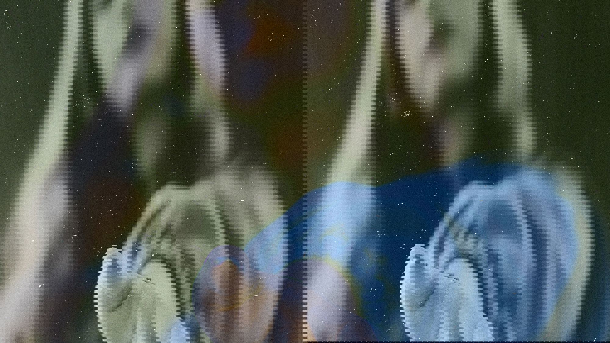 Kringloop Nieuwe Vorm