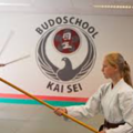 Budoschool Kaisei I Alex Janssen