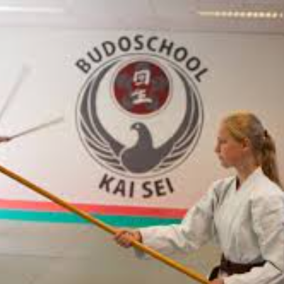 Budoschool Kaisei I