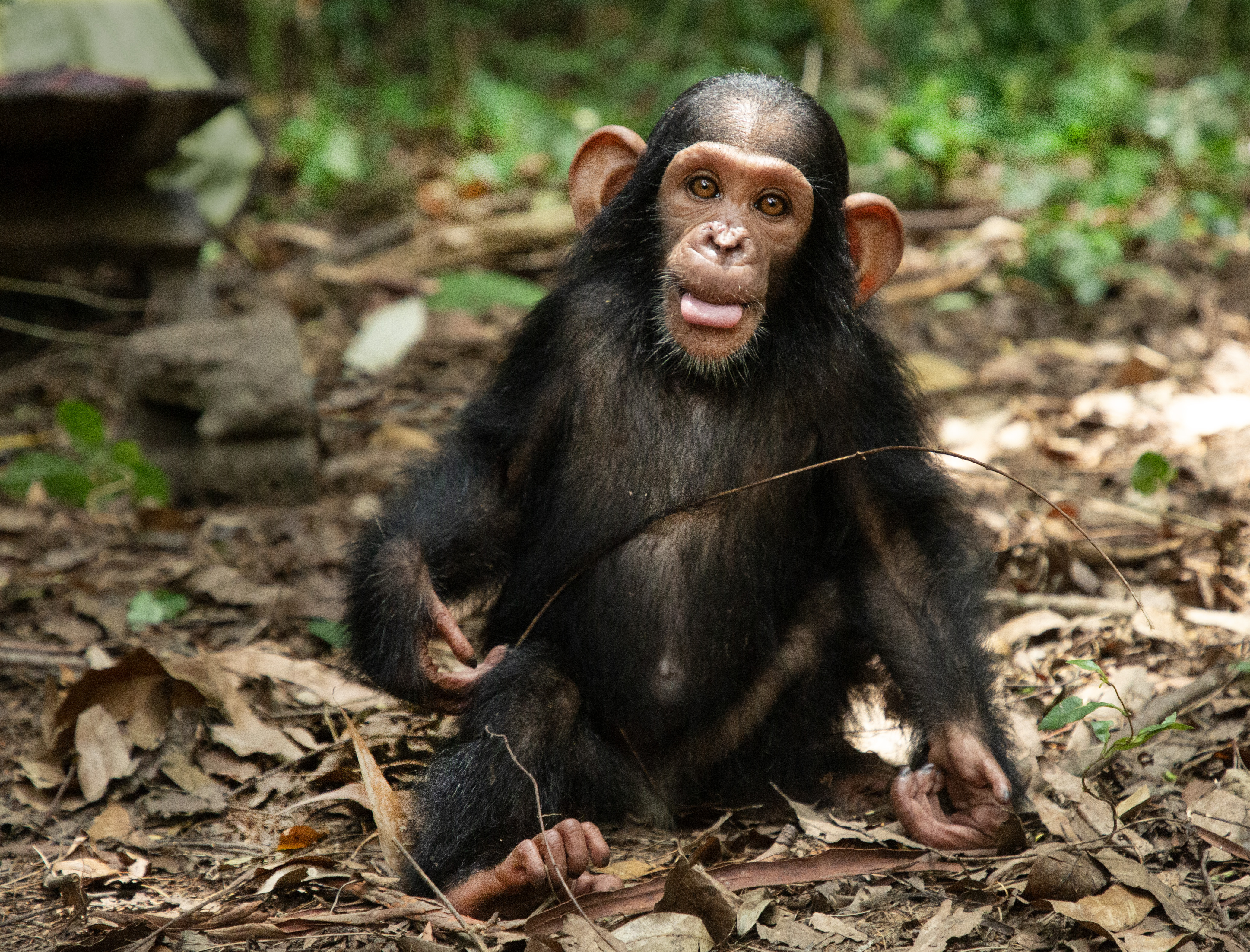 Marketingstrategie voor educatieprogramma