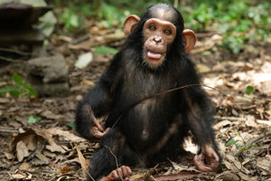 Marketingstrategie voor educatieprogramma