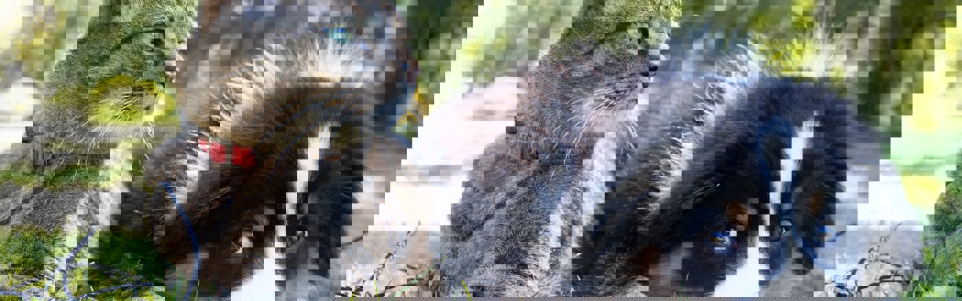 Teksten marketing materials