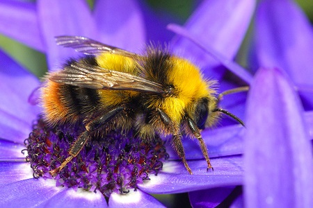Webteksten Landingspagina Stichting