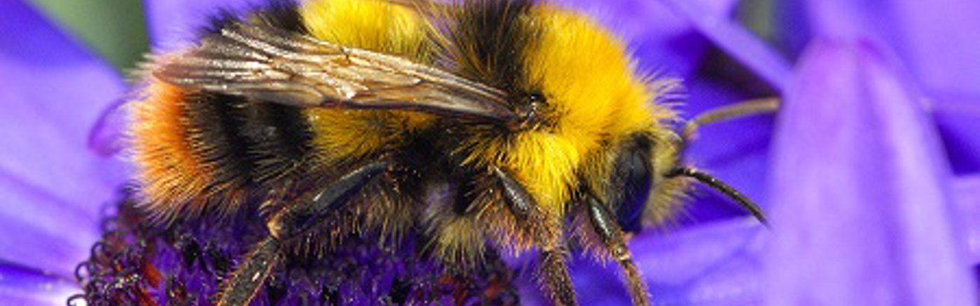 Webteksten Landingspagina Stichting