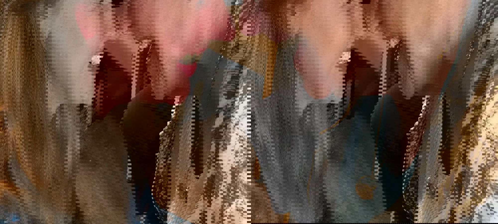 207c3ae5-0e47-4eba-99b2-468ffe07f9f0
