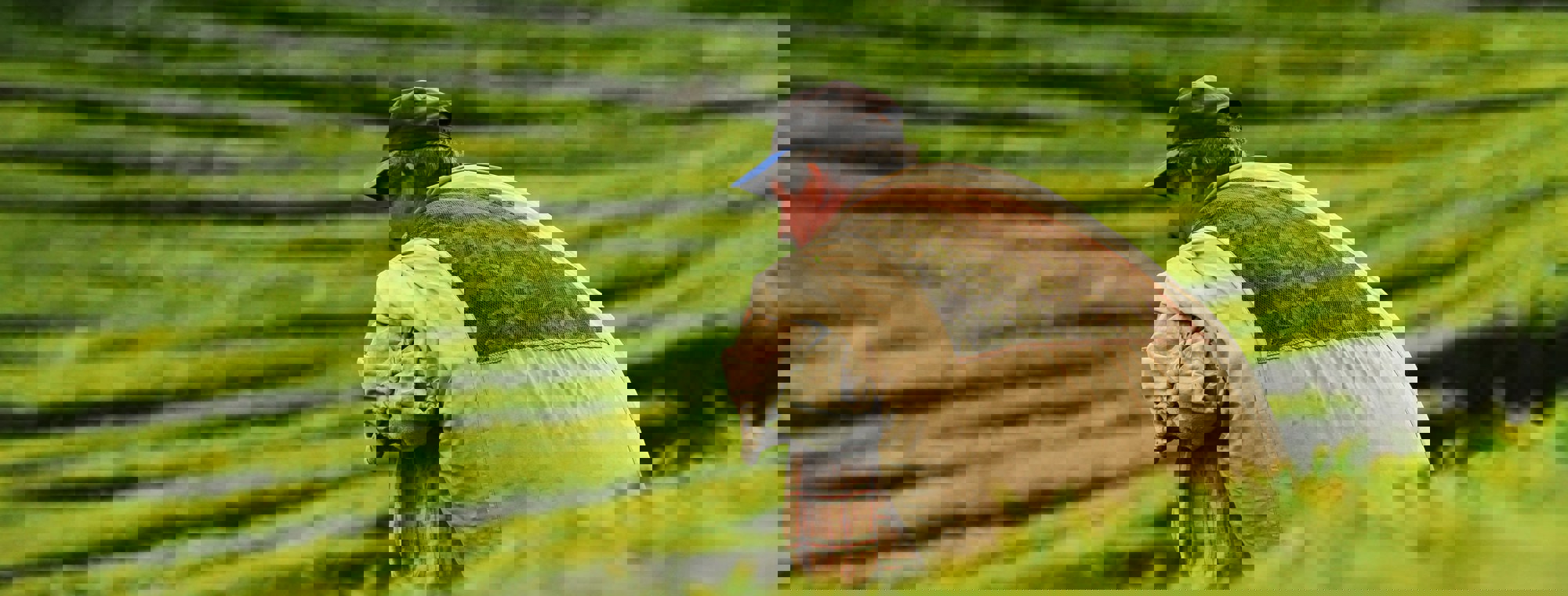Daniel Krueger 6 Didzoezya Unsplash
