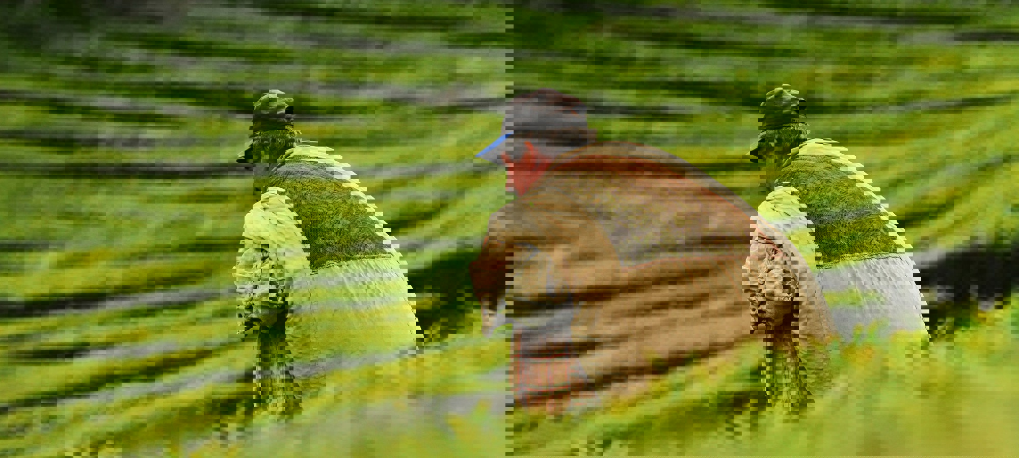 Daniel Krueger 6 Didzoezya Unsplash