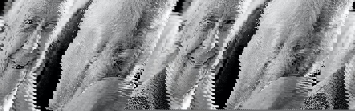 Strategisch advies over Communicatie 