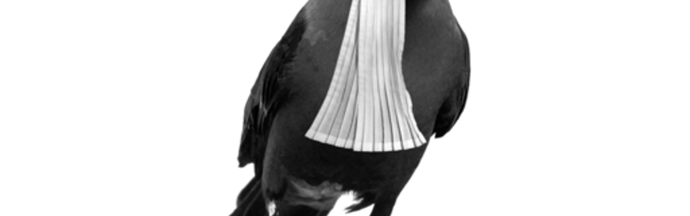 Ondersteuning bij fondsenonderzoek