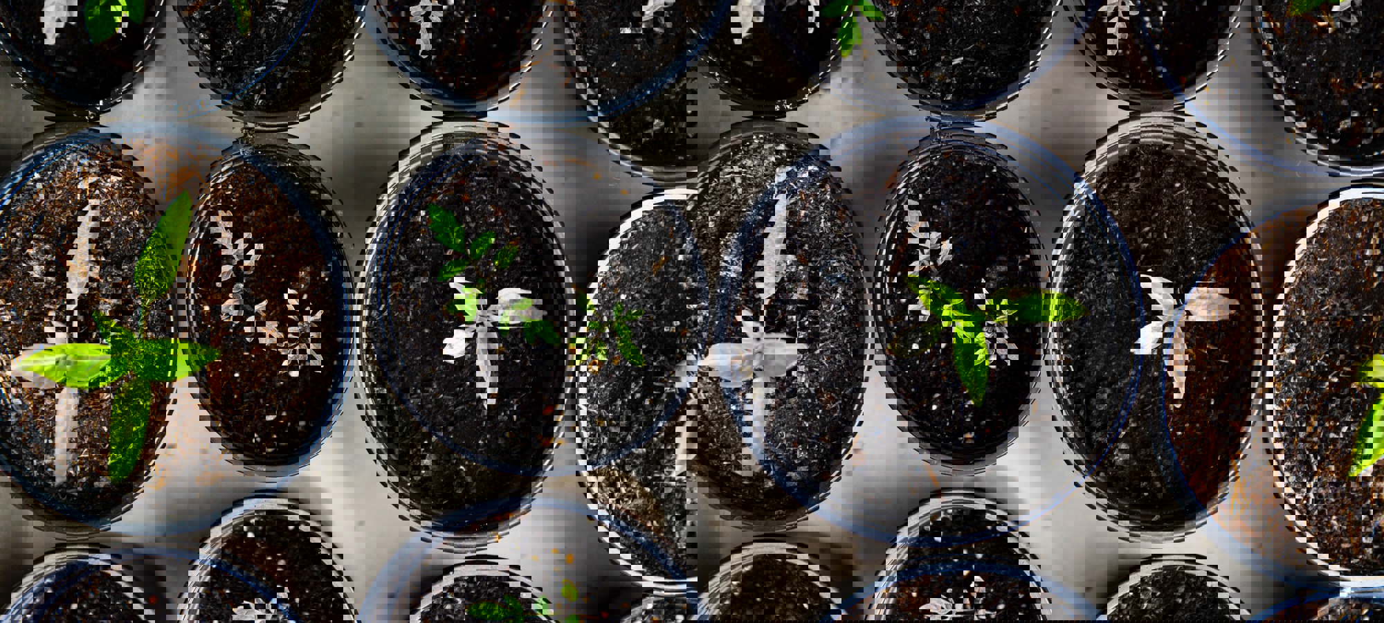 ad2a9182-a21b-4e05-83ac-64e02d804400 (1)