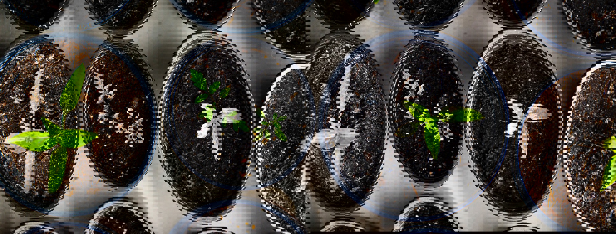 ad2a9182-a21b-4e05-83ac-64e02d804400 (1)