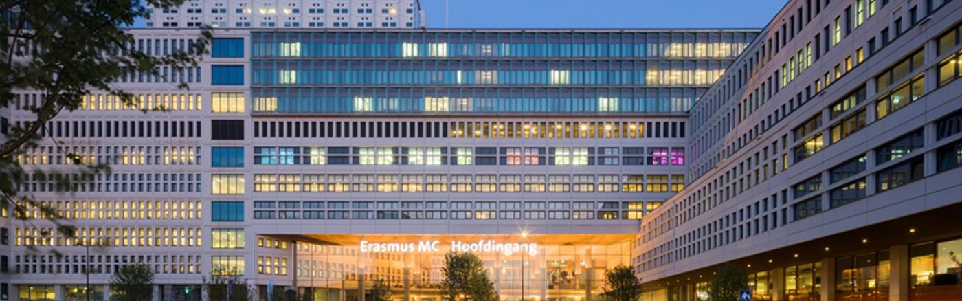 Professioneel jaarverslag