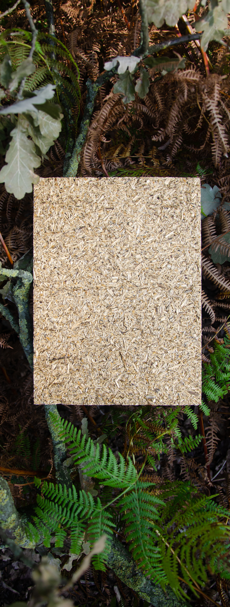 Compostboard-photo