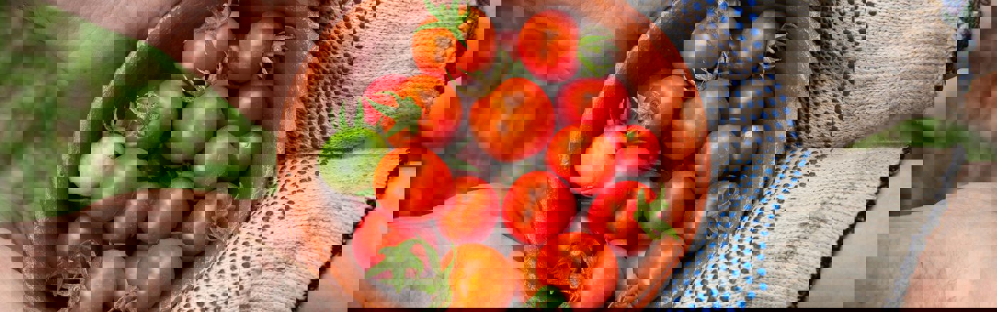 Flexibele Social Media ondersteuning