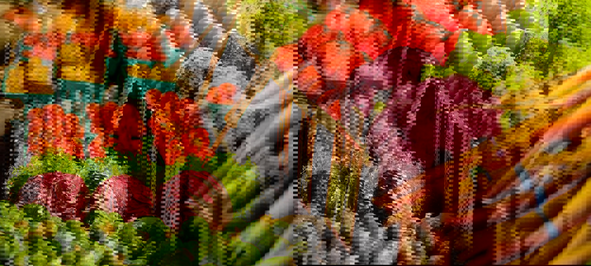 Thomas Le Prjhn4mbsmm Unsplash