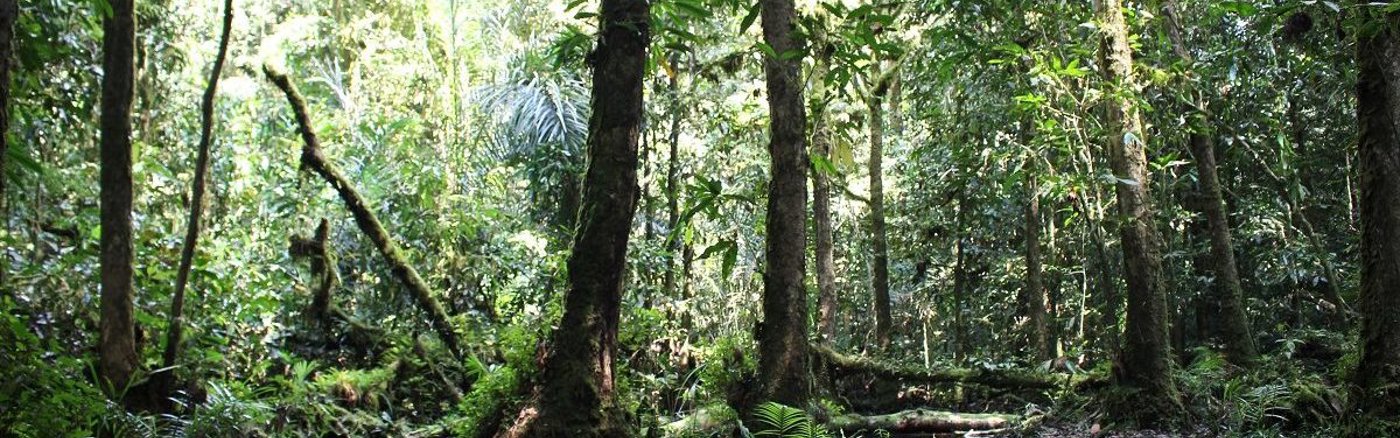 Storyline bedenken voor kinderboek