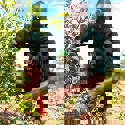 Vergroenen Dodoma-regio