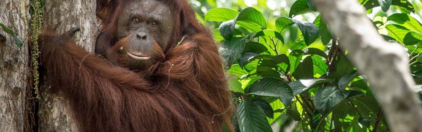 Creatief campagne concept