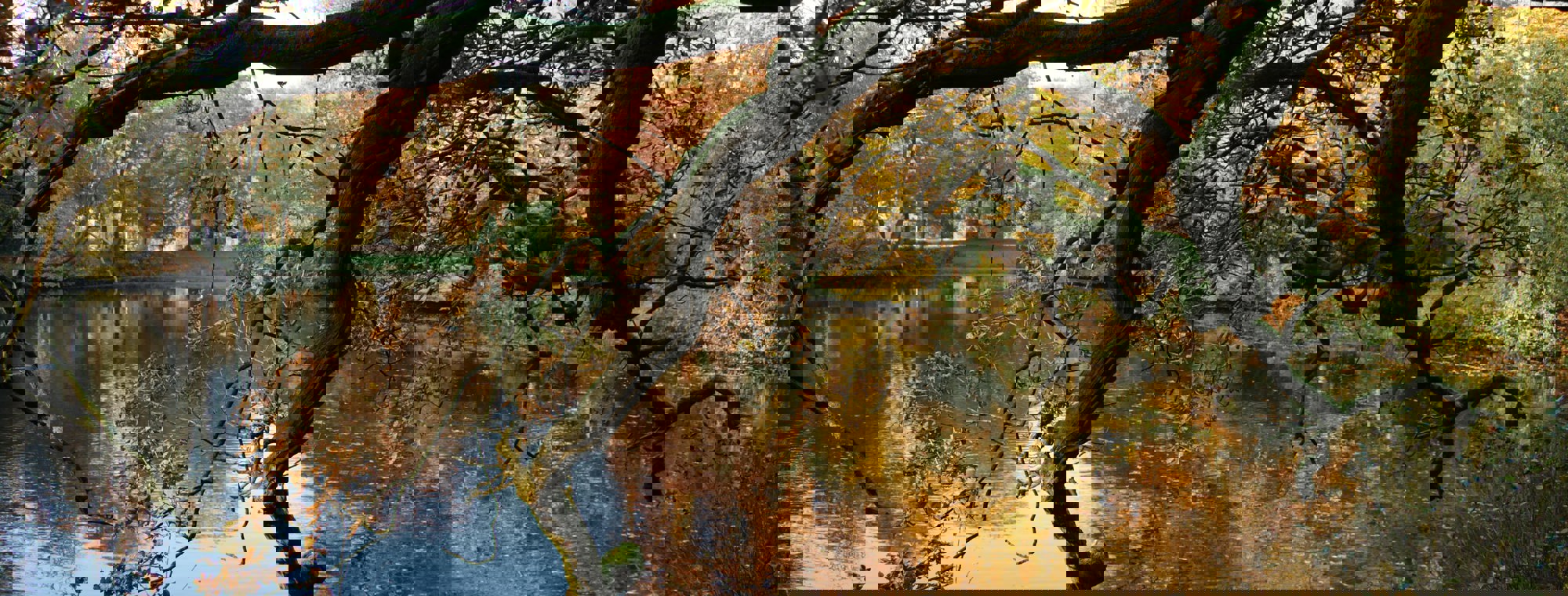 Henk Springer Jqe1bfaqfyw Unsplash