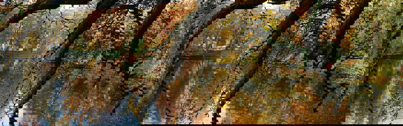 Website teksten schrijven