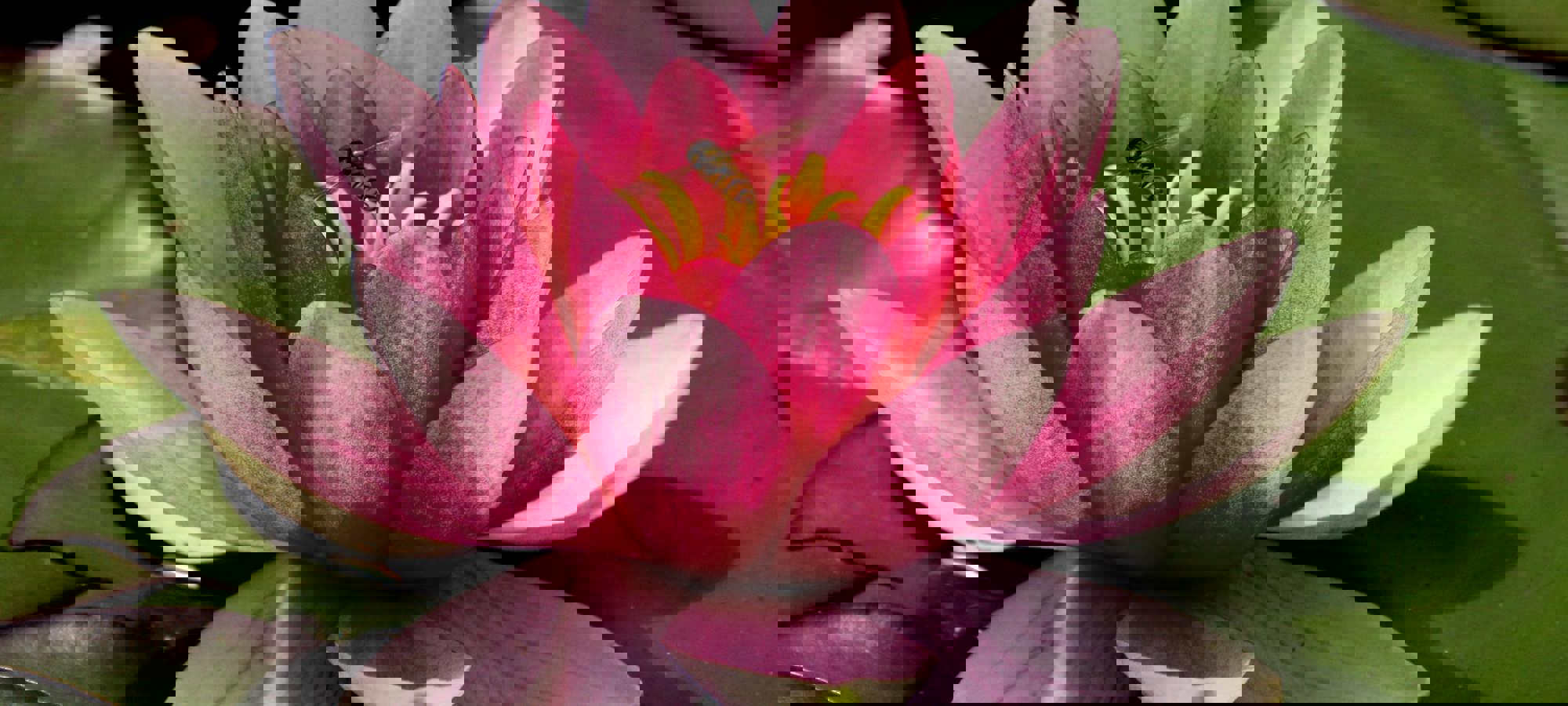 c8142c84-9163-47f4-9237-d7c126333227 (1)