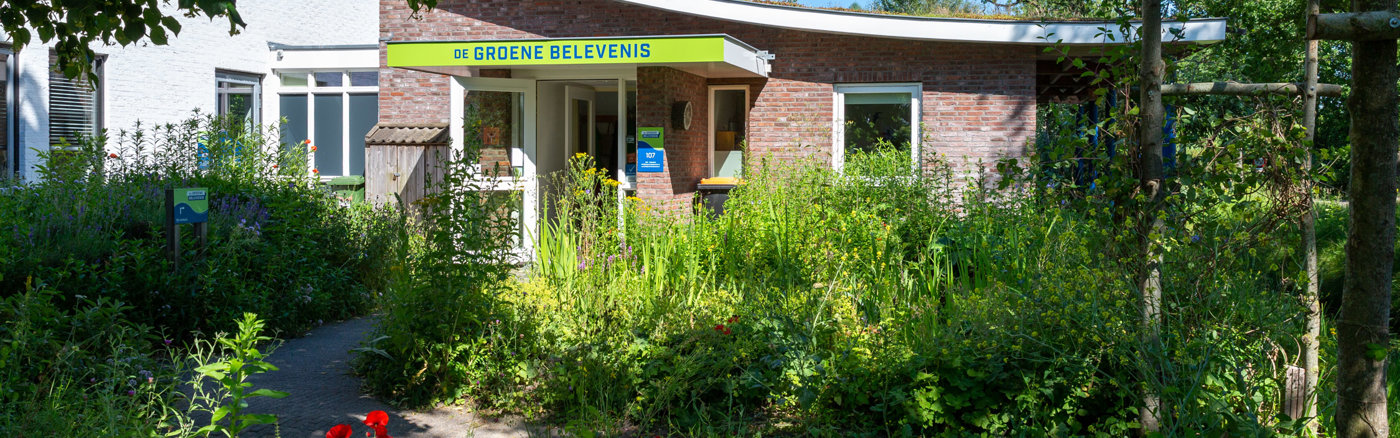 Design ondersteuning (banner & presentatie)