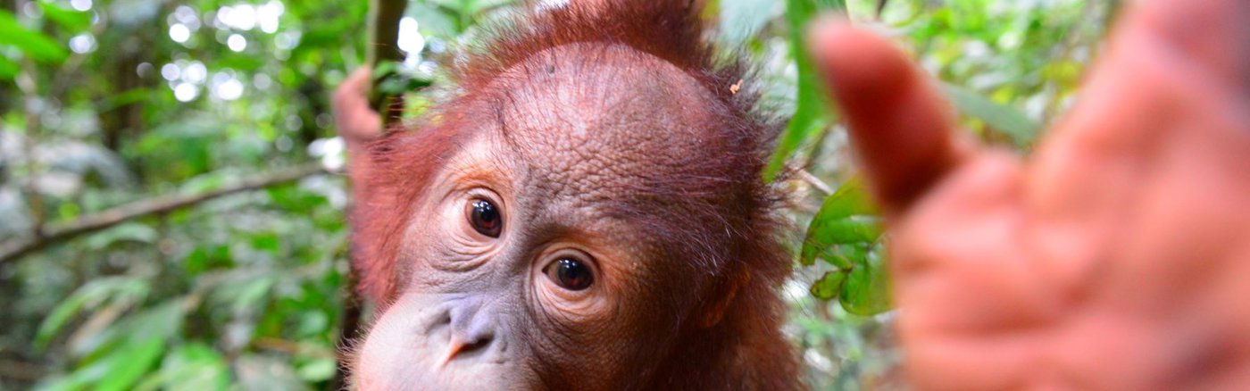 Strategisch Communicatie & PR advies