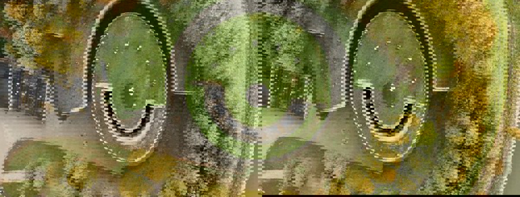 SBNL