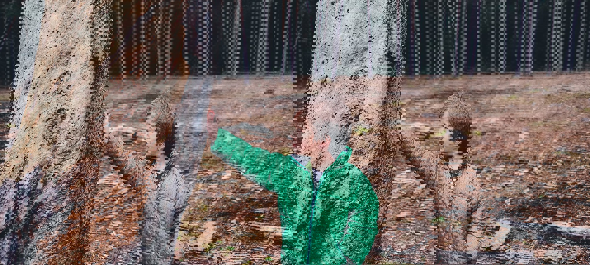Annie Spratt Tw3v0q D4ws Unsplash