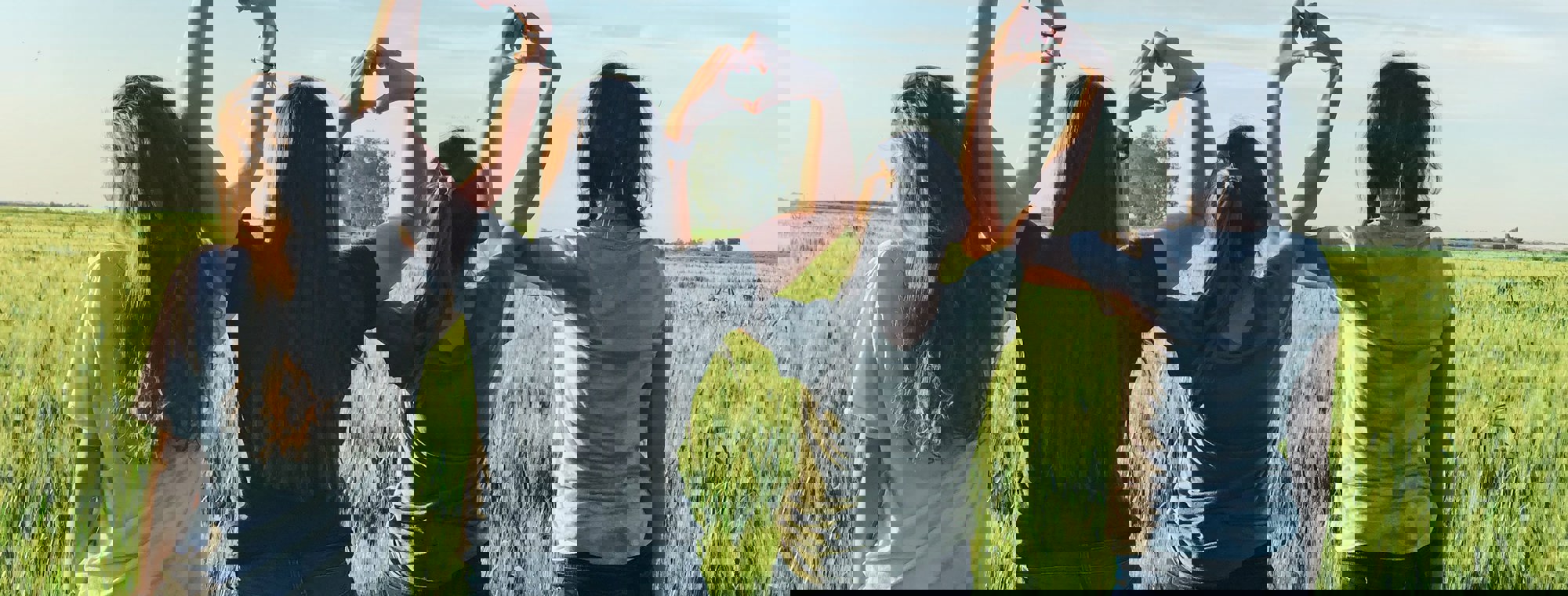 98450781-aa4e-4ad5-94c7-7f125418ca93