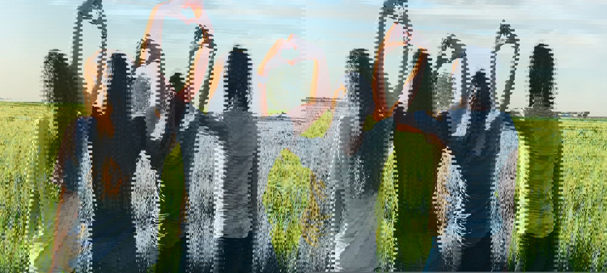 98450781-aa4e-4ad5-94c7-7f125418ca93