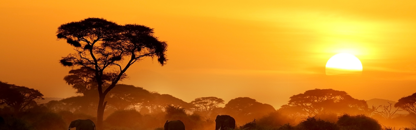 Kennissessie Copywriting