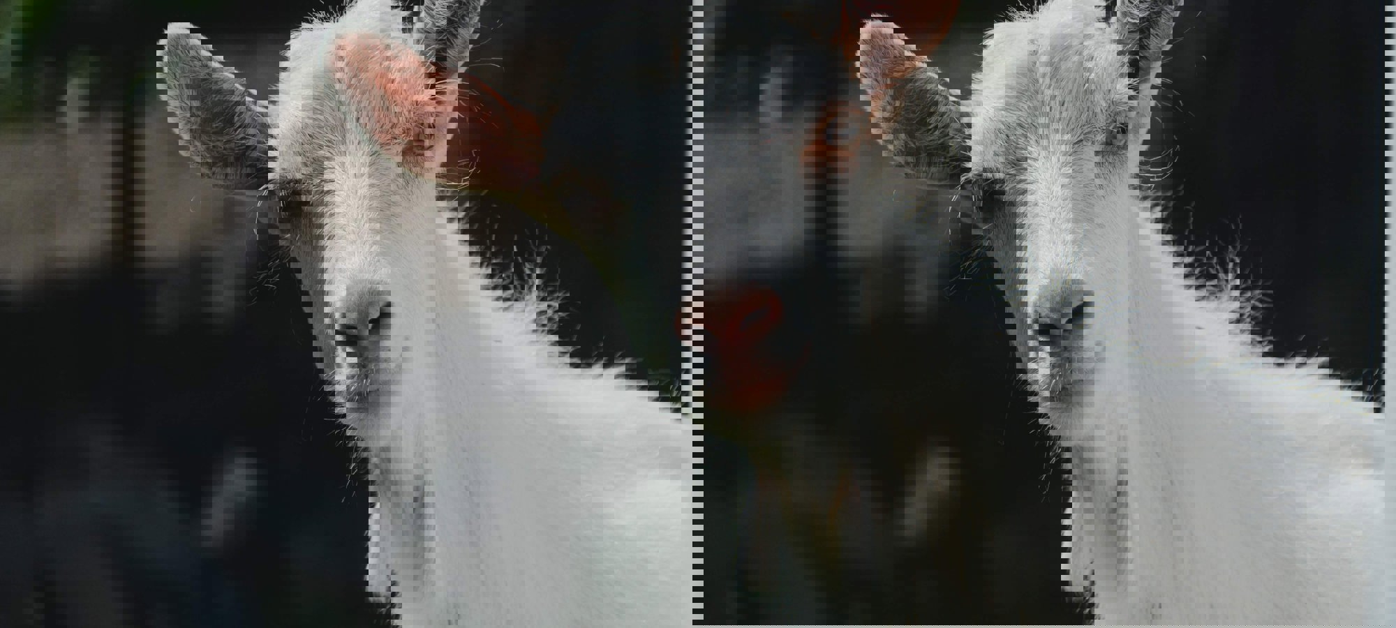 19a8a607-0393-4c7d-a47a-2e0fa5199bb9