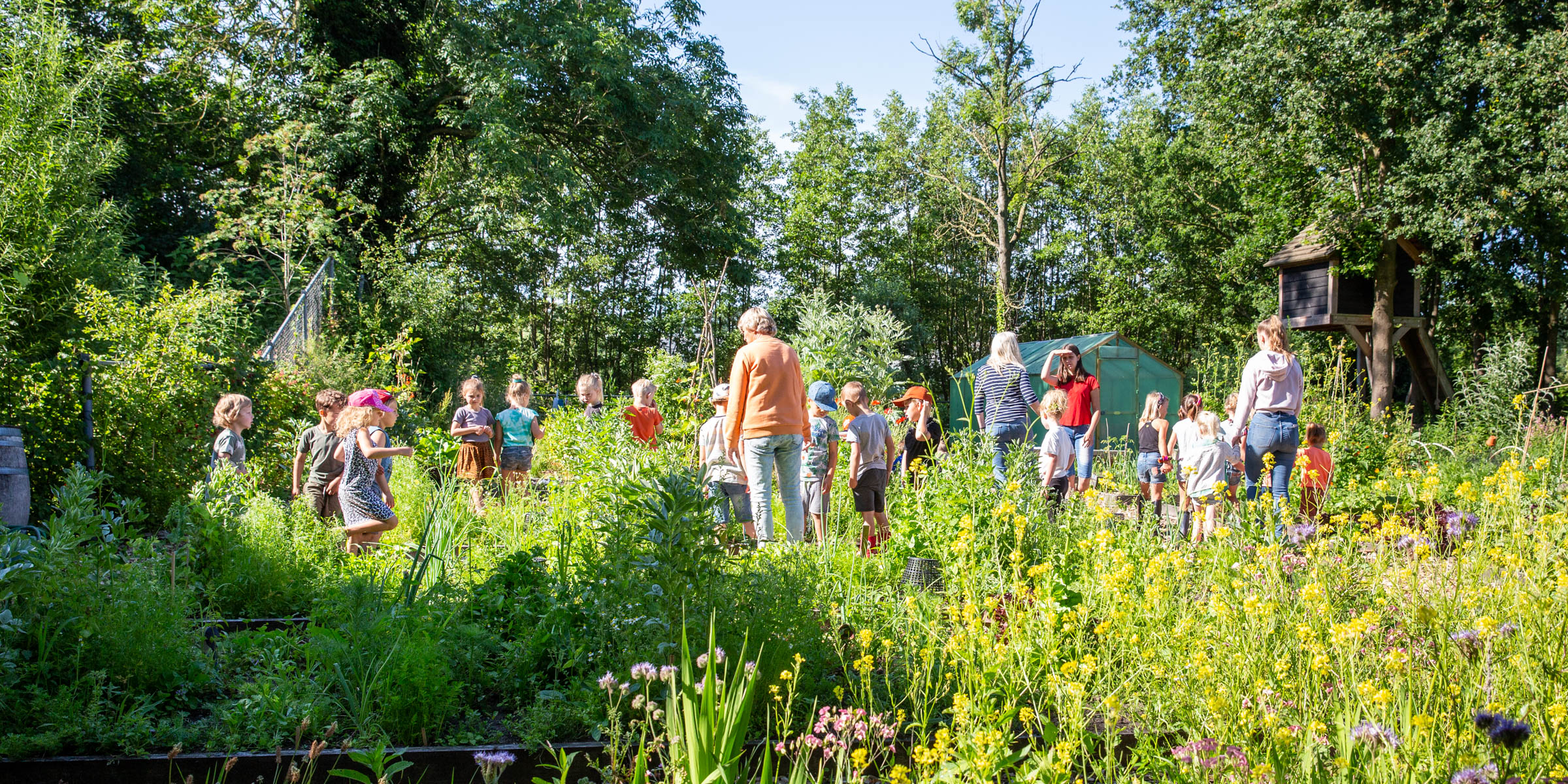 Workshop Reels Maken voor Social Media