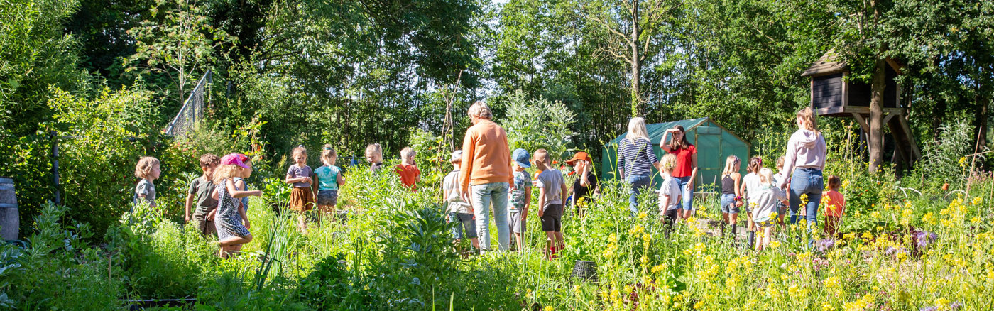 Workshop Reels Maken voor Social Media
