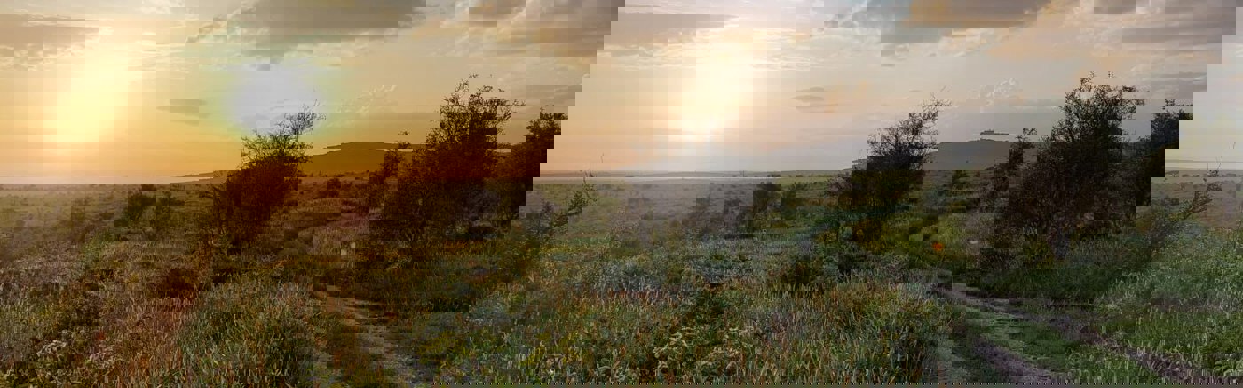 Online Marketing Coach