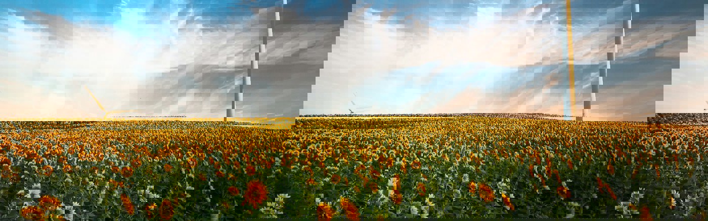 Opzetten donatiecampagne voor windmolen