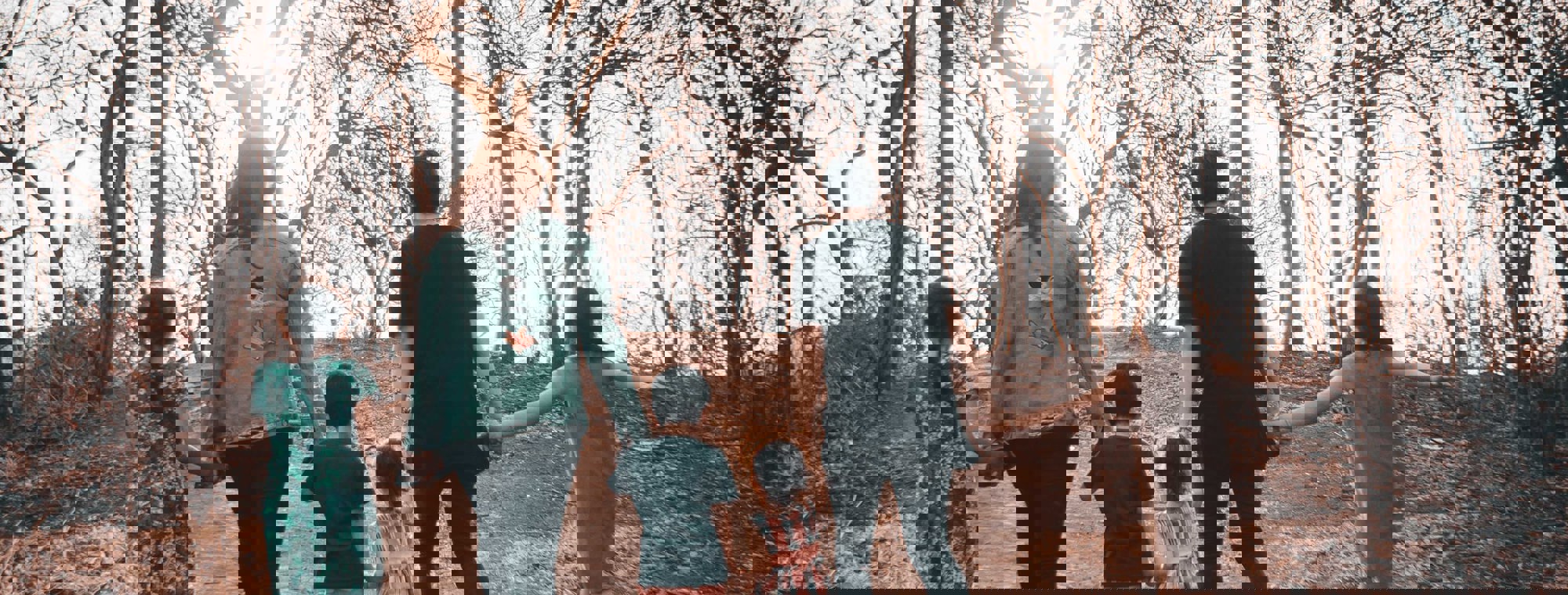e169060d-409a-43fd-9bd2-ddaad150e18e
