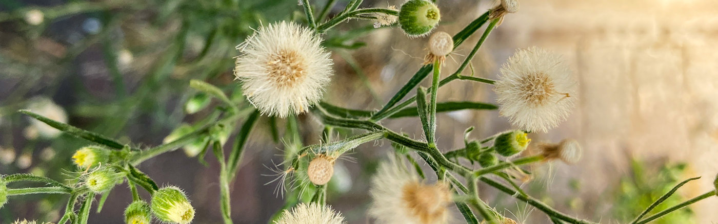 Jaarkalender ontwerpen