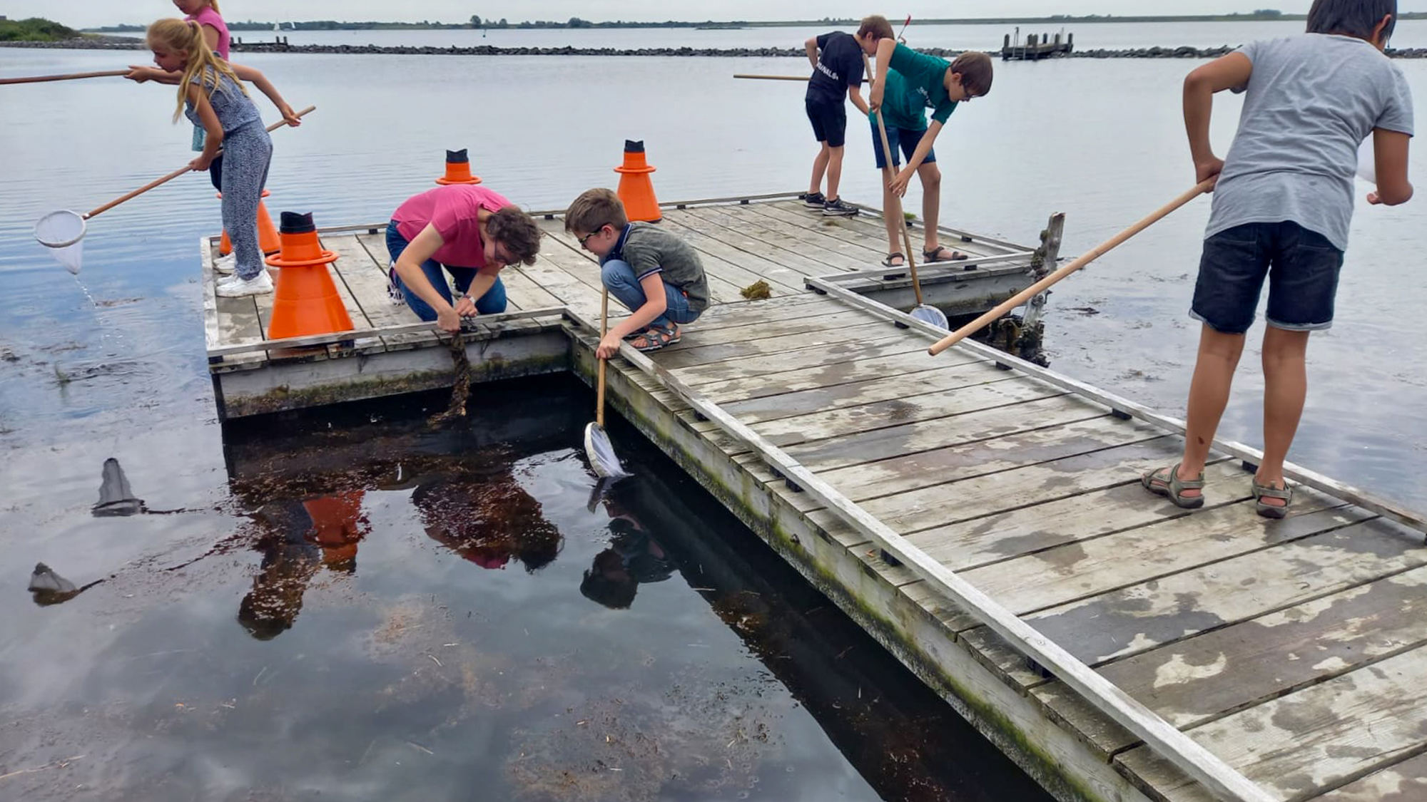 Stichting Natuur en Milieueducatie Schouwen-Duiveland