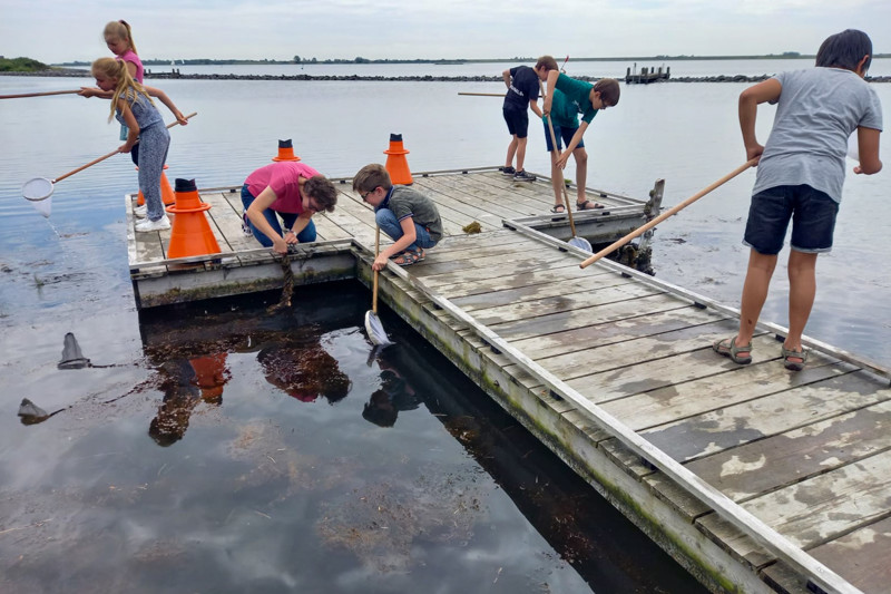 Stichting Natuur en Milieueducatie Schouwen-Duiveland