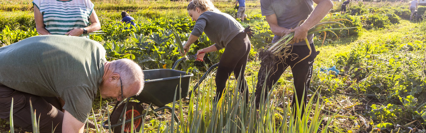 Advies naamswijziging traject 