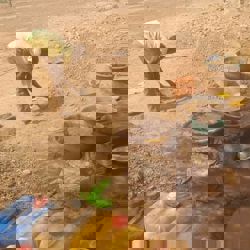 Project in Burkina Faso