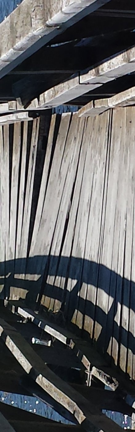 Project management ondersteuning