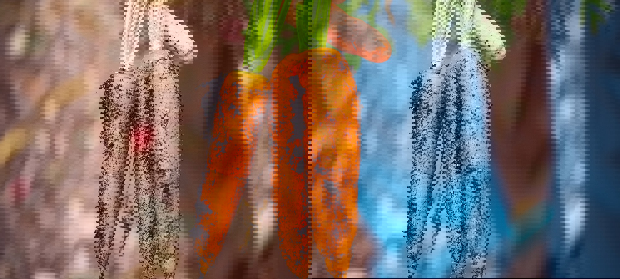 Markus Spiske 4Yk8idawnm8 Unsplash