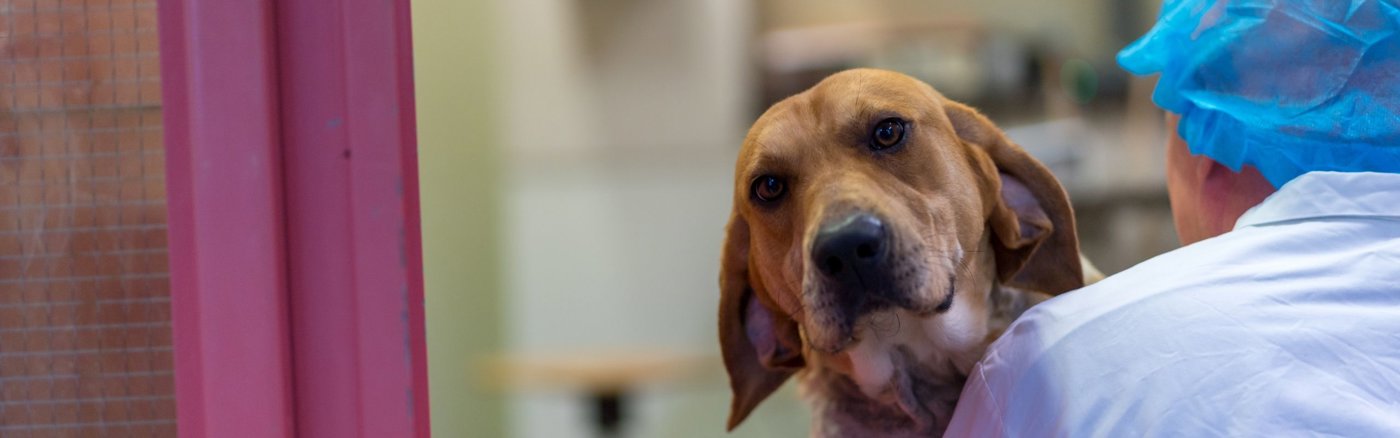 Jaarverslag ontwerpen