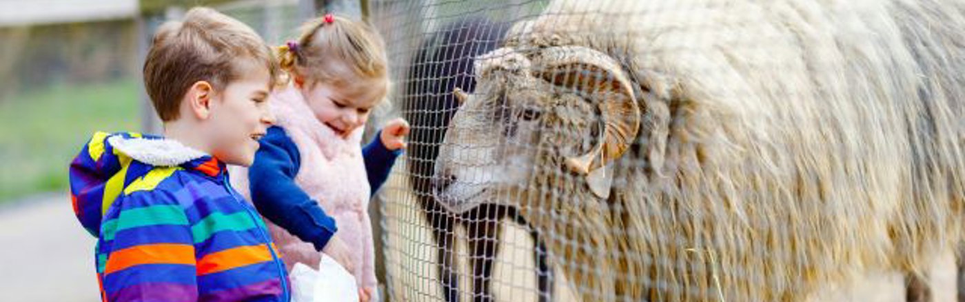 Adviesrapport Fondsenwerving Voor GDO