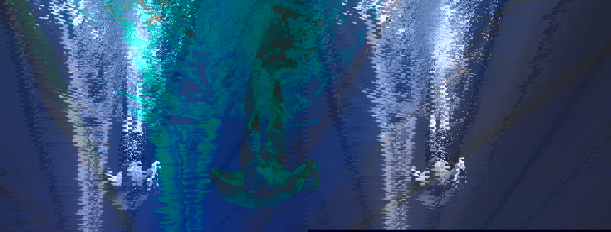 93bf2f92-9fc0-4710-aef2-062654280b87 (1)