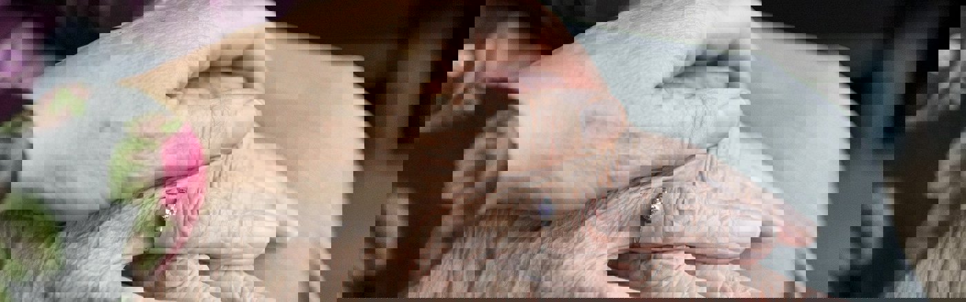 Strategiemiddag Facilitator