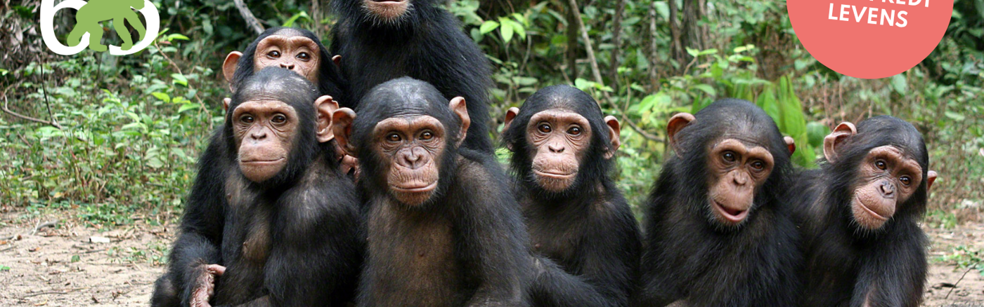 15 social media posts